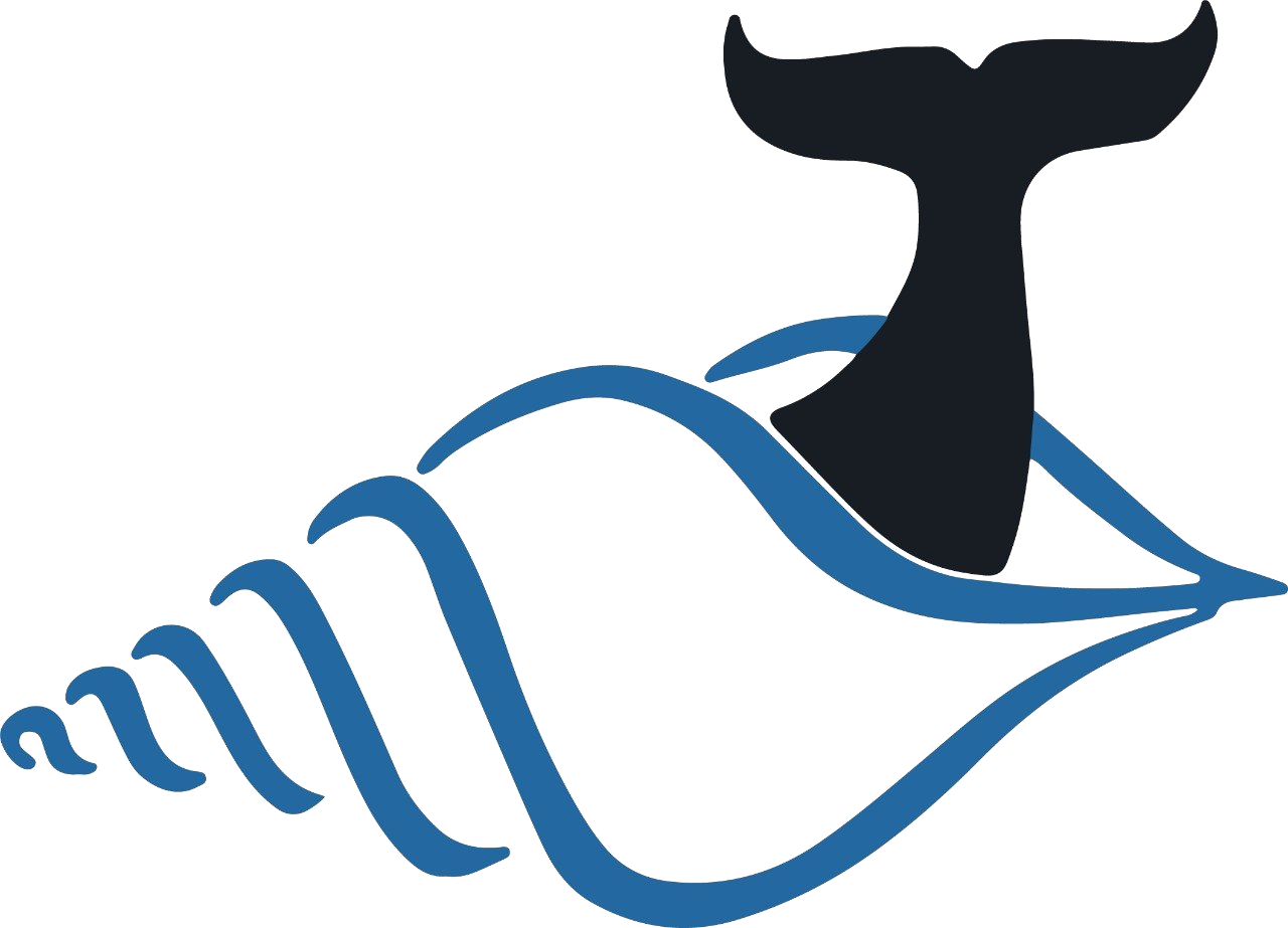 Little Whale Capital
